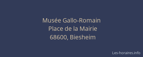 Mus&eacute;e Gallo-Romain