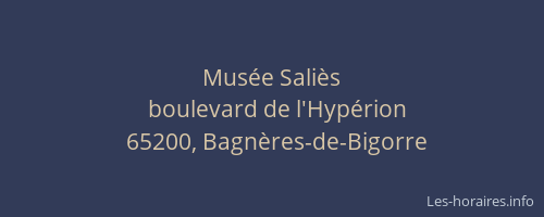 Mus&eacute;e Sali&egrave;s