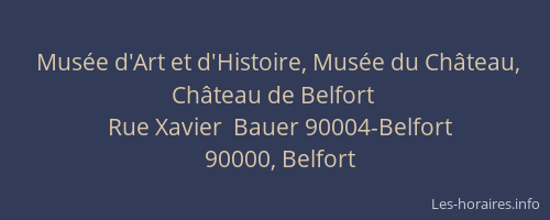 Musée d'Art et d'Histoire, Musée du Château, Château de Belfort