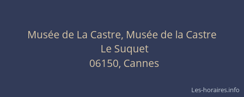 Musée de La Castre, Musée de la Castre