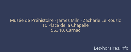 Musée de Préhistoire - James Miln - Zacharie Le Rouzic