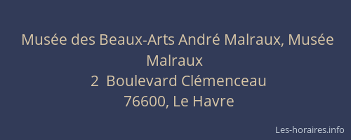 Musée des Beaux-Arts André Malraux, Musée Malraux