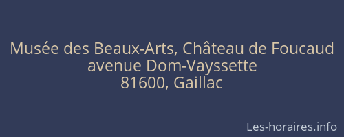 Musée des Beaux-Arts, Château de Foucaud