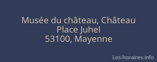 Musée du château, Château