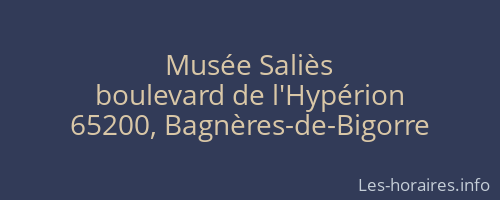 Musée Saliès