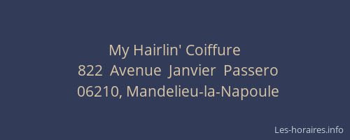 My Hairlin' Coiffure