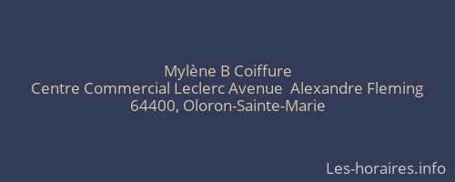 Mylène B Coiffure