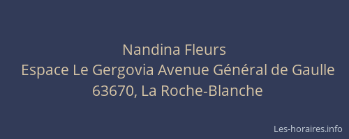 Horaires Nandina Fleurs Espace Le Gergovia Avenue Général de Gaulle La Roche -Blanche