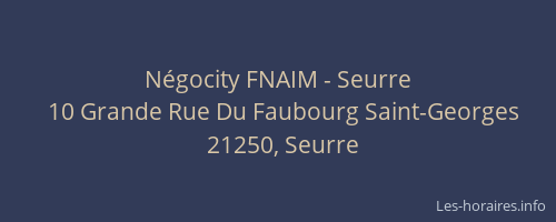 N&eacute;gocity FNAIM - Seurre