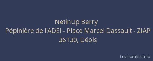 NetinUp Berry
