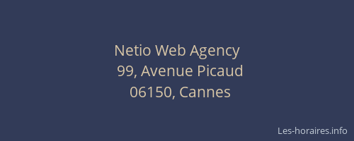 Netio Web Agency