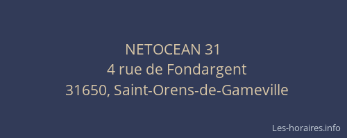 NETOCEAN 31