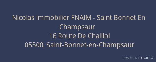 Nicolas Immobilier FNAIM - Saint Bonnet En Champsaur
