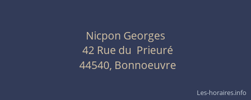 Nicpon Georges