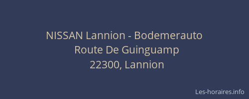 NISSAN Lannion - Bodemerauto