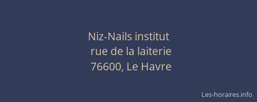 Niz-Nails institut