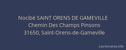 Nocibé SAINT ORENS DE GAMEVILLE