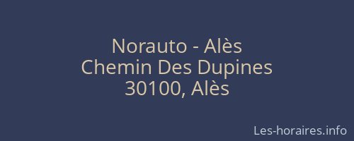 Norauto - Alès