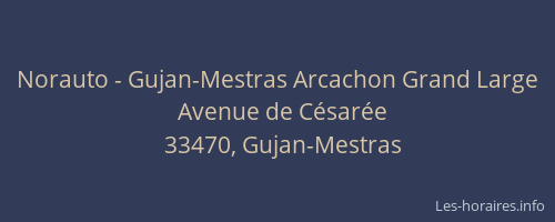 Norauto - Gujan-Mestras Arcachon Grand Large