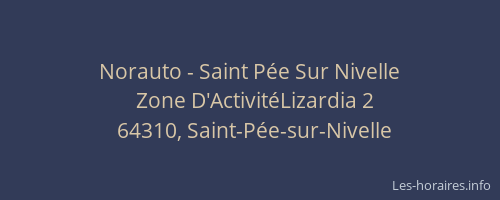 Norauto - Saint P&eacute;e Sur Nivelle