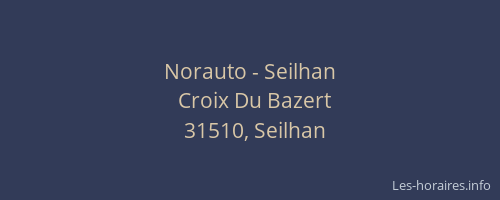 Norauto - Seilhan