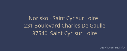 Norisko - Saint Cyr sur Loire
