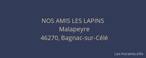 NOS AMIS LES LAPINS