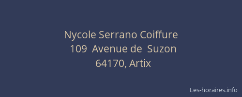 Nycole Serrano Coiffure