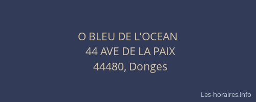 O BLEU DE L'OCEAN