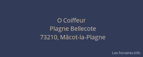 O Coiffeur
