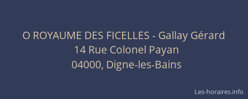 O ROYAUME DES FICELLES - Gallay Gérard