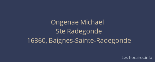 Ongenae Micha&euml;l