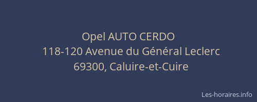 Opel AUTO CERDO