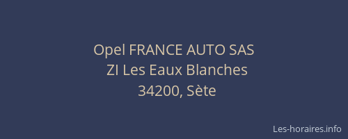 Opel FRANCE AUTO SAS