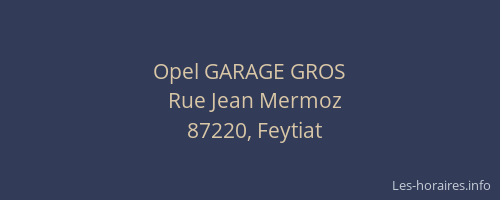 Opel GARAGE GROS
