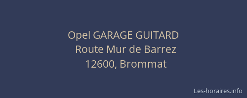 Opel GARAGE GUITARD