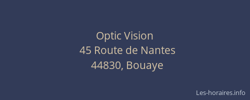 Optic Vision