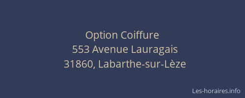 Option Coiffure
