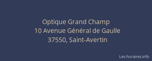 Optique Grand Champ
