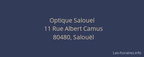 Optique Salouel