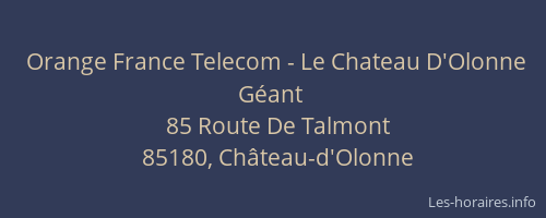 Orange France Telecom - Le Chateau D'Olonne Géant