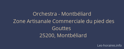 Orchestra - Montbéliard