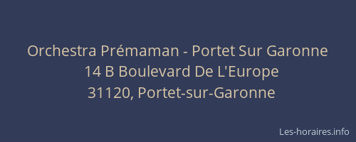 Orchestra Prémaman - Portet Sur Garonne