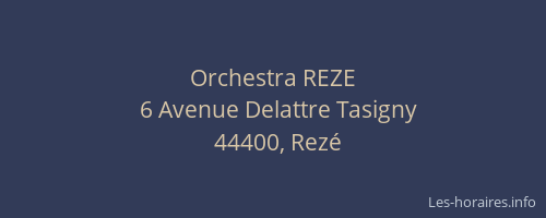 Orchestra REZE