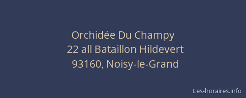 Orchidée Du Champy