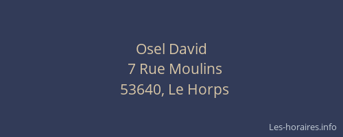 Osel David