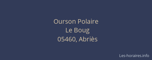 Ourson Polaire