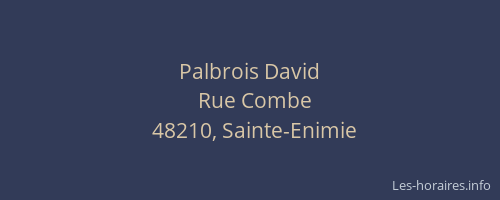 Palbrois David