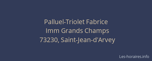 Palluel-Triolet Fabrice