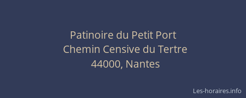Patinoire du Petit Port